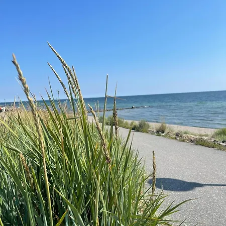 Deichgraf Mit Meerblick & Direkter Strandnaehe-sauna-whirlwanne 아파트 다메